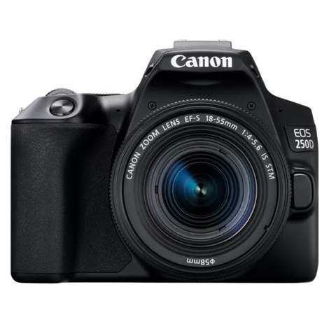 Canon EOS | 250D | Obiektyw EF-S 18-55mm IS STM | Brązowy | Srebrny